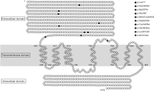 Click on image to zoom