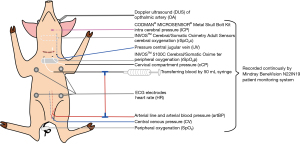 Click on image to zoom