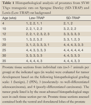 Click on image to zoom Table 1