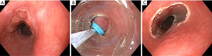 Click on image to zoom