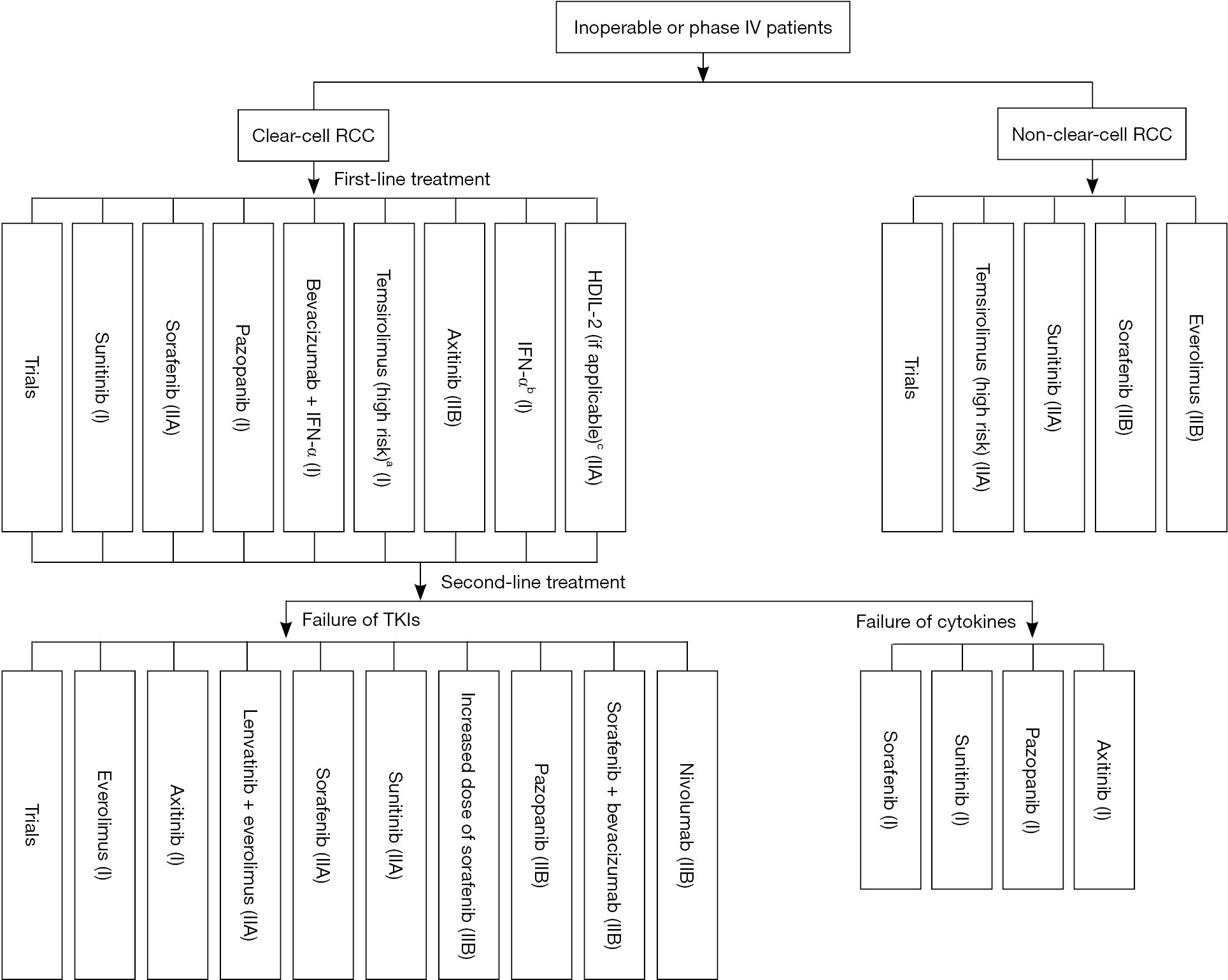 Chinese Guidelines On The Management Of Renal Cell Carcinoma 2015 Edition Guo Chinese Clinical Oncology