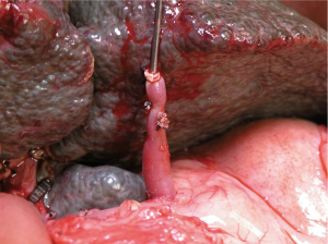 Click on image to zoom