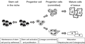 Click on image to zoom