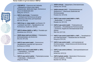 Click on image to zoom