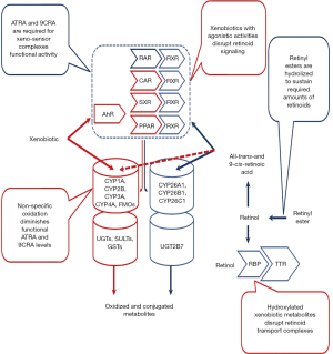 Click on image to zoom