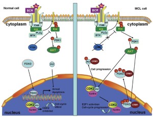 Click on image to zoom Figure 3