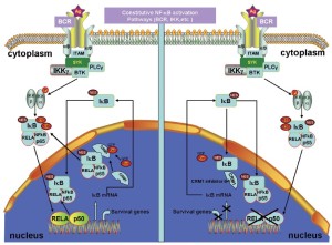 Click on image to zoom Figure 4