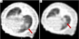 Click on image to zoom Figure 1