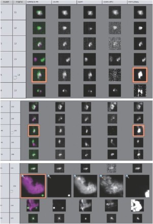 Click on image to zoom Figure 1