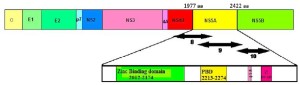 Click on image to zoom Figure 1