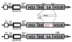 Click on image to zoom Figure 4