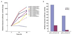 Click on image to zoom Figure 5