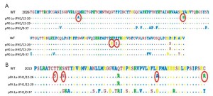 Click on image to zoom Figure 7