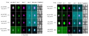 Click on image to zoom Figure 1