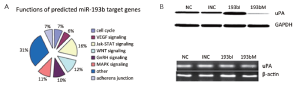 Click on image to zoom Figure 4