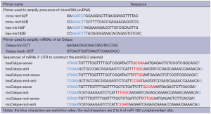 Click on image to zoom