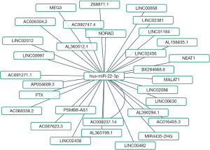 Click on image to zoom