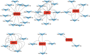 Click on image to zoom