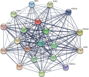 Click on image to zoom