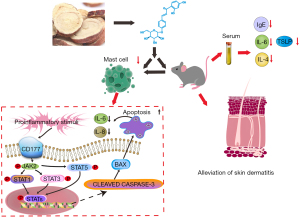 Click on image to zoom