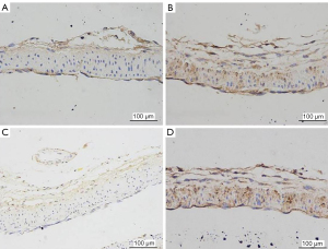 Click on image to zoom