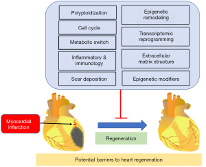 Click on image to zoom