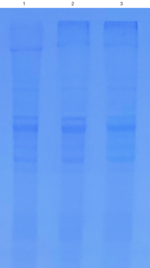 Click on image to zoom