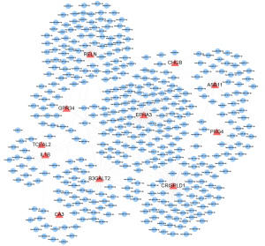 Click on image to zoom