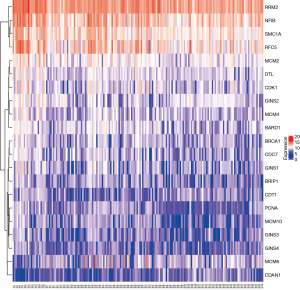 Click on image to zoom