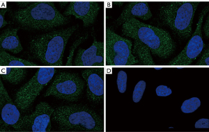 Click on image to zoom