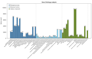 Click on image to zoom