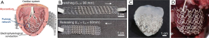 Click on image to zoom