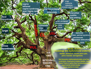 Click on image to zoom