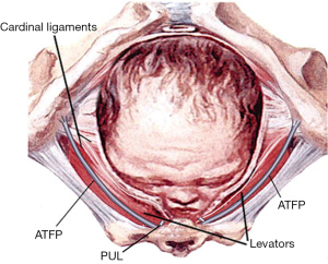 Click on image to zoom