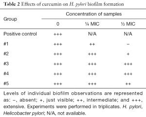Click on image to zoom Table 2