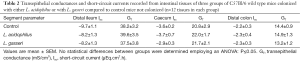 Click on image to zoom Table 2