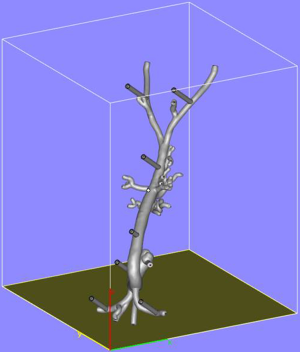 Click on image to zoom