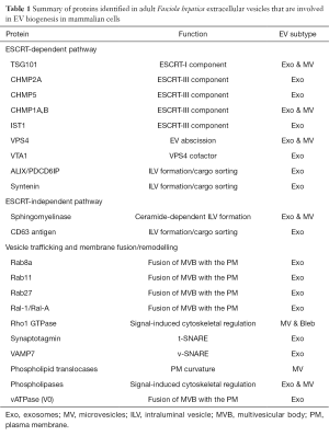 Click on image to zoom Table 1