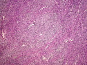 Click on image to zoom Figure 3