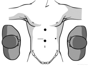 Click on image to zoom Figure 1