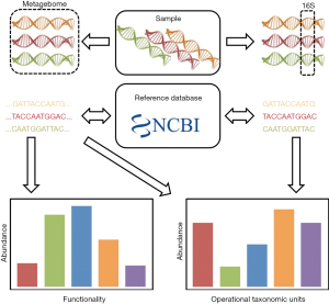 Click on image to zoom