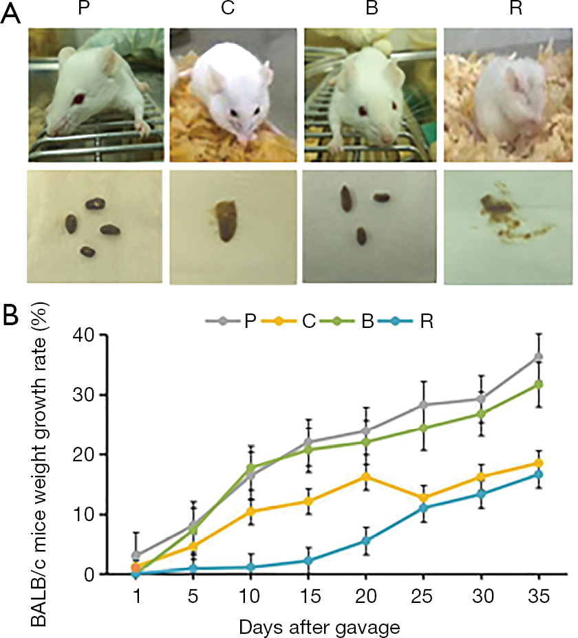 Boiling and roasting treatment affecting the peanut allergenicity