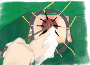 Click on image to zoom