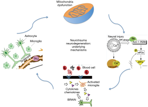 Click on image to zoom