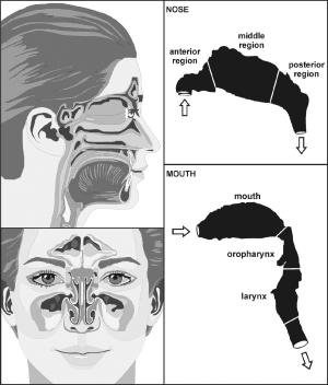 Click on image to zoom