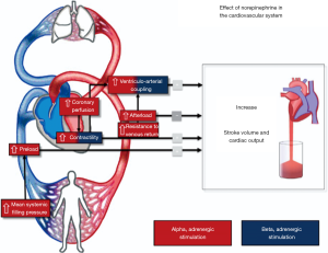 Click on image to zoom