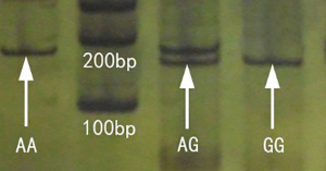 Click on image to zoom