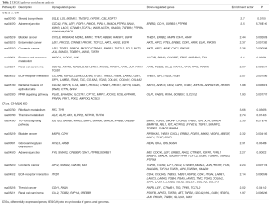 Click on image to zoom Table 2