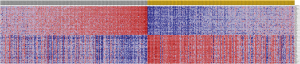 Click on image to zoom