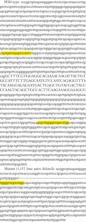 Click on image to zoom